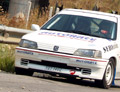 Πέτρου - Πενέσης / Peugeot 106 1300 