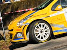 Cavallini - Farnocchia - Peugeot 207 S2000